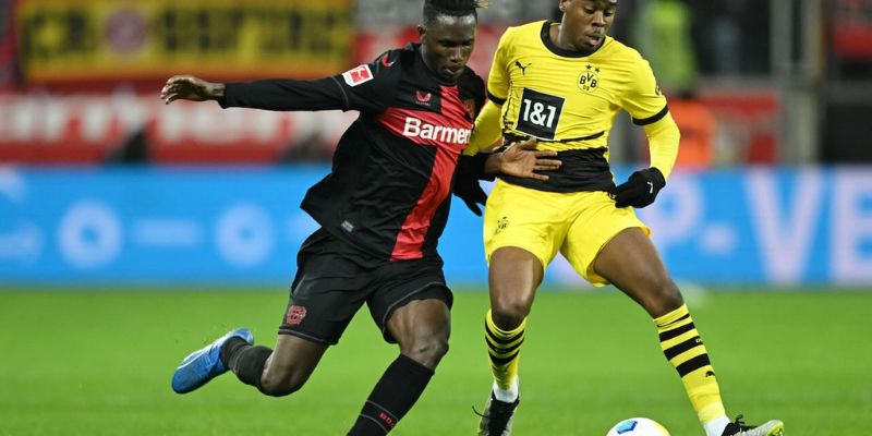 Cách sử dụng livescore trong bóng đá hiệu quả