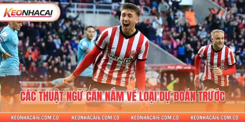 Các thuật ngữ cần nắm về loại dự đoán trước