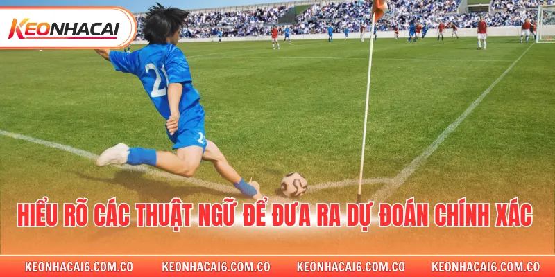 Hiểu rõ các thuật ngữ để đưa ra dự đoán chính xác 