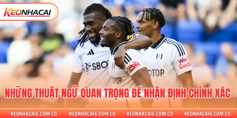 Những thuật ngữ quan trọng để nhận định chính xác