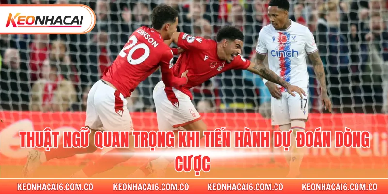 Thuật ngữ quan trọng khi tiến hành dự đoán dòng cược