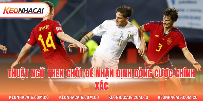 Thuật ngữ then chốt để nhận định dòng cược chính xác 