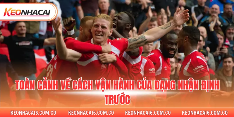 Toàn cảnh về cách vận hành của dạng nhận định trước 