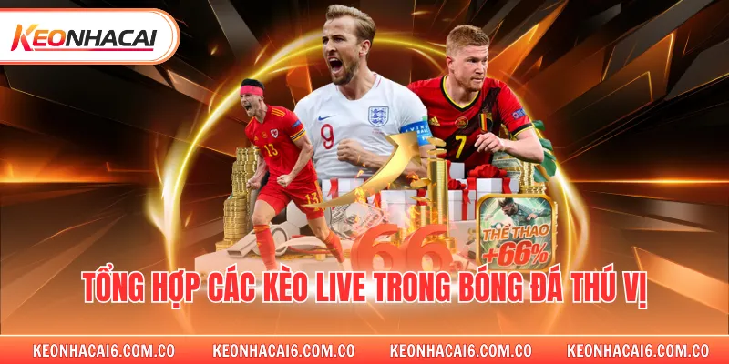 Tổng hợp các kèo live trong bóng đá thú vị 